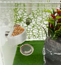 3 PCS Jumping Spider Feeding Dish, Tiny Food Dishes Water Dish for Jumping Spider, Tarantula and Other Small Pets, Half 
