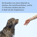Wisdom Panel Dog Breed Detection DNA Test Kit - Accurate Breed ID MDR1 Pedigree Relatives