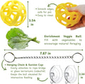 Homedy Crafts Bearded Dragon Climbing Bridge with Veggie Feeder Ball – Bendable Vine Enrichment Route for Large Tanks, Greens Intro Kit, Reptile/Lizard Tank Accessories (Salad Feeder Ball)