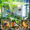 Hamiledyi Acrylic Breeding Isolation Box - Transparent Aquarium Hatchery for Guppy/Shrimp/Small Fish, Safe Nursery Tank 