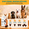 1-TDC Dual Action Joint & Gum Support Soft Gels for Dogs & Cats - 120 ct