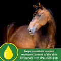 Farnam Super 14 Healthy Skin & Coat Supplement for Horses, Keeps Coats Shiny & Gleaming Year-Round 5 Pound, 80 Day Suppl