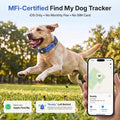GPS Dog Collar with Tracker, Waterproof, No Monthly Fee, Blue, L
