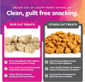 SmartyKat Freeze Dried Real Chicken & Catnip Crunchy Cube Treats for Cats, 2.8 oz Bag