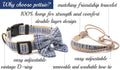 Pettsie Dog Bow Tie Collar & Matching Owner Friendship Bracelet