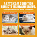 Just Try 3.38 Fl Oz Fish Oil Paste Salmon Oil & Cat Vitamins for Indoor Cats, Omega-3 Supports Skin & Coat Health, Chicken Flavor