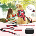 Service Dog Vest Harness and Leash Set+10 Patches,No Pull&Adjustable Reflective Dog Harness with Soft Padded Handle for 