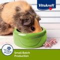 Vitakraft Drops Rabbit Guinea Pig Hamster Treats Watermelon Flavor 4.4 Ounce Bag Delicious Yogurt Enriched Drops with Fr