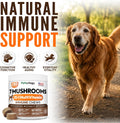 Turkey Tail Mushroom for Dogs - 250 Chews - Lion’s Mane - Shiitake - Reishi - Buddy Immune Support Guard - Lipoma Mushroom Supplement for Dogs Lumps and Bumps Glucosamine, Health Vitamins Multivitamin