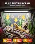 UVB Light for Reptile 8W, T5 UVB Reptile Light Fixture HO Combo Kit with Test Sensor Cards, 12" High Output Reptiles Lig