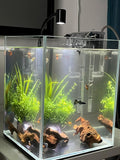 YZHZOM Small Natural Driftwood for Aquarium Styling Carefully Selected Natural Aquarium Decor Driftwood for Reptile Tank