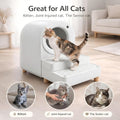 Cat Litter Box Step, 2-Step Litter Catcher with Removable Grid Top, Anti-Slip Support for Kittens & Senior Cats, Easy-Clean Step for High-Entry Litter Boxes