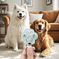 Bifeaw 12 Packs Learher Pet Hair Storage Keychain - Dog Cat Fur Memory Charm - Furever Keychain for Collecting Cat and Dog Hair