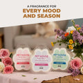 Ocean Driftwood Spring and Summer Wax Melts Plant-Based Wax, Pet House