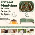 Elevated Slow Feeder Dog Bowls with Splash Proof Stand, Slow Eating 5X