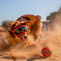 Rex Specs V2 Dog Goggles