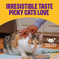 Wellness Complete Health Pate Variety Pack Kitten Canned Wet Cat Food, Natural, Protein Rich, Grain Free, Whitefish and 