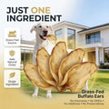 100% Natural 12 Count Cow Ears for Dog, High Protein Beef Ears for Rawhide Dog Treat Grass Fed Water Buffalo Ears for Do