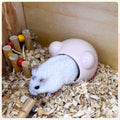 Ceramic Hamster House, Cute Animal Shaped Hamster Cave, Summer Cool Small Animal Hideout Habitat Decor for Dwarf Hamster