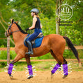 Horse Fly Boots, Breathable Mesh Protection Set of 4, Comfortable Horse Leggings, Breathable Mesh Design, Equine Supplie