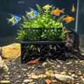 Porous Aquarium Shrimp Hideout with 2 Plant Cups, Multifunctional Fish Tank Breeding Shelter, Aquatic Plant Planter Brac