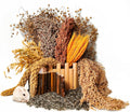 Natural Hamster Flower & Herb Habitat Deocr, Hamster Sprays Herbs Bedding Mate, Hamsters Cage Enrichment Decoration Acce