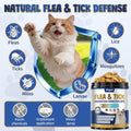 Flea and Tick Prevention for Cats, 500 Oral Cat Flea Treatment