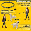 Pet Dreamland Exquisite Hands Free Leash for Large Dogs. Ultimate Comfort & Freedom for Running, Walking and Hiking. Premium Quality, Durable & Versatile Dog Walking Belt. Your Dog Will Love It.