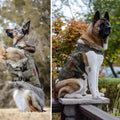OneTigris No Pull Tactical Dog Mesh Harness for Medium Dogs, Aire Mesh Breathable Military Dog Molle Vests with Handles,