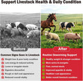 Dewormer, Liquid Formula, for Roundworms, Pinworms, and Others, 3.4 fl oz