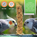 Vivlly 5LBS GMO-Free Sun Dried Spray Millet - Original Bird Treat Millet for Parakeets, Cockatiels, Finches & More - Non-GMO, High in Amino Acids, Easy Storage, Tasty & Healthy Bird Snacks (5 lbs)
