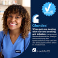 Vetnique Glandex Medicated Dog Butt Wipes or Spray for Dog Scooting - Topical Anti Itch Skin Relief for Soothing Inflamed Anal Glands in Dogs & Cats - Fast Acting Formula 50ct (50ct Wipes)