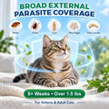 Cat Flea Drop, Topical Flea Drops for Cats, Monthly Spot-On Care, 6 Pack