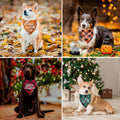 ADOGGYGO Halloween Thanksgiving Christmas Holiday Dog Bandanas