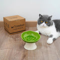 Ceramic Slow Feeder Bowl for Cats and Small Dogs, Elevated Tilted Pet Food Dish, Whisker Friendly Anti-Vomit Design, Hea