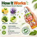 Bitter Apple Spray for Dogs – No Chew Spray to Stop Chewing, Licking & Biting, Natural Bitter Dog Training Spray, Anti C