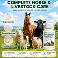 Iver-mectin for Horse, Maintain General Well-Being & Vitality