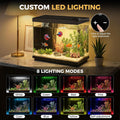 2.2 Gallon Small Fish Tank, Betta Fish Aquariums