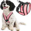 Gooby Comfort X Head in Harness - Pink, Small Harness Patented Choke-Free X Frame - Perfect on The Go Harness for Medium Dogs No Pull or Small Dogs for Indoor and Outdoor Use