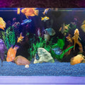 Lawei 5LB Fish Tank Gravel, Polished Small Aquarium Substrate Gravel Sand, Blue Sea Glass Beads for Vases, Irregular Dec