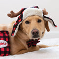 Huxley & Kent Pet Hat | Antler Buffalo Check (Large) | Festive Christmas Holiday Accessory for Dogs/Cats | Holiday Pet Hat | SnugFit Sliding Toggles for Best Fit