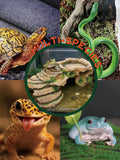 Reptile Hide Cave and Turtle Basking Platform - Resin Decor for Aquarium & Terrarium, Multi-Level Resting Rock and Shelt