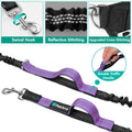 PetAmi Premium Hands Free Dog Leash for 2 Dogs, Adjustable Waist Belt Leash for Dog Walking, Fanny Pack Accessories Bag Dual Bungee Leash for Running, Hiking, Jogging, Biking, Purple