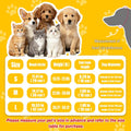 Dog Sun Hat, Hat for Dogs with Ear Holes, Pet Apparel Accessories, Breathable Drawstring for Summer Sun Protection, Outd