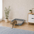 Ying Tutu 1 Pack of Extra Large Cat Litter Box (ABS Material), Low Entry Senior Litter Pen for Geriatric Kitty Big Cats, Jumbo Pet Safe Litter Boxes Tray for Indoor Pets Potty (Gray, 24" L x 20" W)