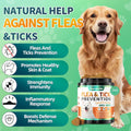 Carmelie Flea and Tick Prevention for Dogs Chewables, 200 Soft Chews