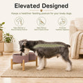 Havniva Ceramic Dog Bowls Elevated, Raised Dog Food Bowl for Small Dogs