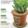 8LB 1-2mm Horticultural Sand for Succulents and Cactus Soil