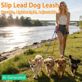 FOVRLZSE 11-Pack Dog Leashes, 4.6FT, 10mm Braided Nylon, 11 Assorted Colors