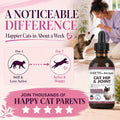 NODENS Cat Hip and Joint Liquid Glucosamine for Cats with Chondroitin – All Natural Cat Joint Supplement for Senior Cats Pain Relief Anti-inflammatory for Improved Joint Flexibility & Mobility 2oz